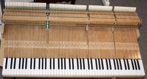 Flügel Klavier Grotrian-Steinweg 190, schwarz poliert, Nr. 33044, 5 Jahre Garantie Bild 13