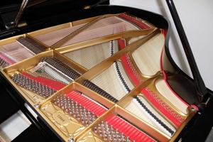 Flügel Klavier Grotrian-Steinweg 190, schwarz poliert, Nr. 33044, 5 Jahre Garantie Bild 9