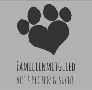 Suchen neues Familienmitglied 