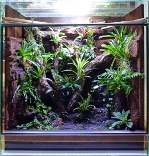 Beregnung von Terrarien, Gewächshäusern und Paludarien. Bild 3