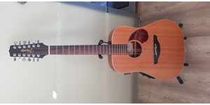 12 saitige Gitarre,,Takamine,,