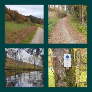 Selbstgeführtes Ponyreiten 74538 Pferdehof Dendelbach Bild 5