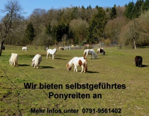 Selbstgeführtes Ponyreiten 74538 Pferdehof Dendelbach