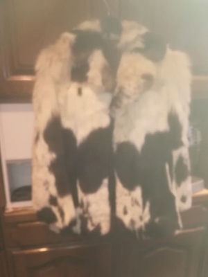 Gaewolf Pelzjacke Damen weiß schwarz gemustert in Größe 40 42 zu verkaufen Bild 1
