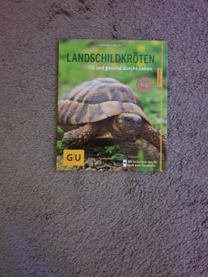 Wir geben 1 neues Buch über Schildkröten ab 