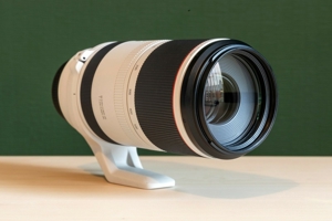 Canon RF 100-500 mm 1 4,5-7,1 l IS USM-Objektiv Bild 1