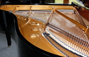 Flügel Klavier Kawai RX-5, schwarz poliert, 197 cm, Nr. 2600493 Bild 9