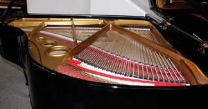 Flügel Klavier Seiler 172, schwarz poliert, 5 Jahre Garantie Bild 12