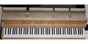 Flügel Klavier Sauter 160, weiß poliert, Baujahr 1974, Renner-Mechanik, 5 Jahre Garantie Bild 12