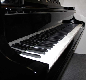 Klavier Flügel Bechstein, 203cm, schwarz poliert, generalüberholt Bild 5