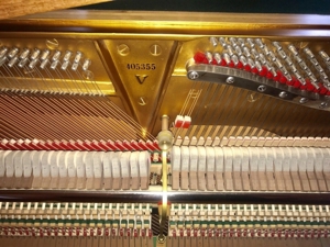 Steinway&Sons Klavier-Flügel Mod-V125 Tadelloser Zustand Bild 10