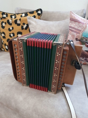 2 chorig Eichhorn ton B Bild 8