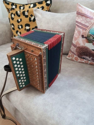 2 chorig Eichhorn ton B Bild 3