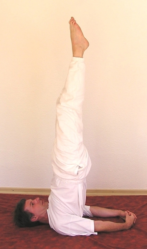 Yoga-kurse in bersenbrück Bild 8