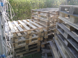 Schutzhülle--Sonnnschirm Bild 9