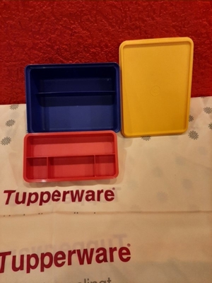 Tupperware Behälter mit Einsatz 