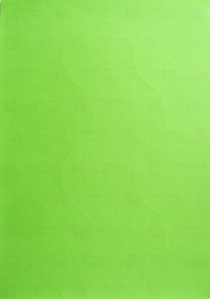 20 Blatt farbige Haft-Etiketten A4-Format 210 x 297mm GRÜN selbstklebend von Mayspies neu Bild 1