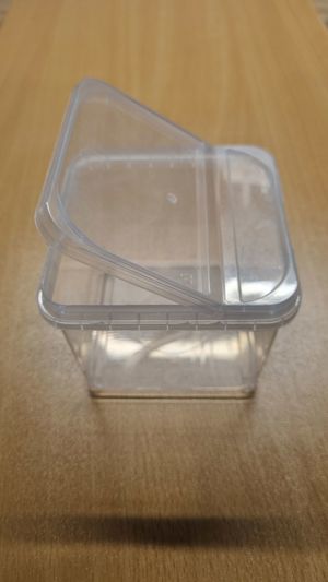 Aufzuchtdose, Aufzuchtbox eckig 88mm 88mm 75mm, 360ml. Bild 4