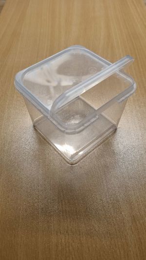 Aufzuchtdose, Aufzuchtbox eckig 88mm 88mm 75mm, 360ml. Bild 3