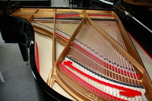 Flügel Klavier Grotrian-Steinweg 185, schwarz poliert, 5 Jahre Garantie Bild 10