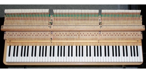 Flügel Grotrian-Steinweg 160, schwarz poliert, komplett generalüberholt, 5 Jahre Garantie Bild 14