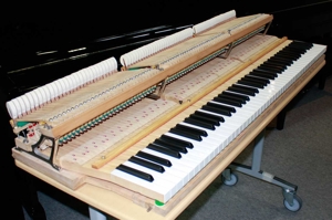 Flügel Grotrian-Steinweg 160, schwarz poliert, komplett generalüberholt, 5 Jahre Garantie Bild 8