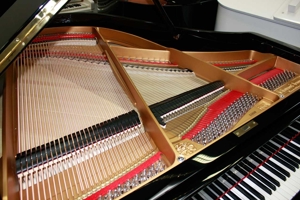 Flügel Grotrian-Steinweg 160, schwarz poliert, komplett generalüberholt, 5 Jahre Garantie Bild 11