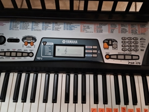 Keyboard von Yamaha PSR-175 zu verkaufen! Bild 2