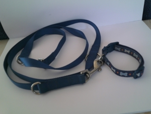 Halsband und Leine Set