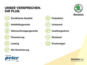 Skoda Kodiaq KODIAQ 1.5 TSI SPORTLINE **SMART LINK*KAMERA* Bild 2