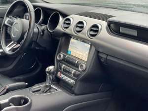 Ford Mustang Cabrio 2.3 Premium Paket Leder 10-Gang Bild 5