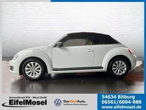 Volkswagen Beetle Cabrio 1.4 TSI Sport Navi Klima Leder Bild 2