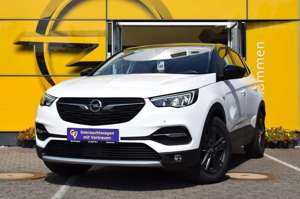 Opel Grandland X GRANDLAND X Design Line Plus 1.2 Benzin 6 Gang Bild 1