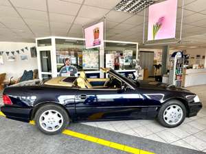 Mercedes-Benz SL 500 Sitz  Spiegel-Memory*Sitzheizung*Windschott