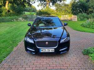 Jaguar XF XF 30t AWD R-Sport