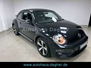 Volkswagen Beetle Lim. Sport R-Line Aut. Navi Sitzheizung Bild 3