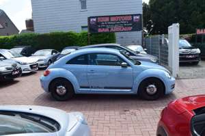 Volkswagen Beetle Bild 3