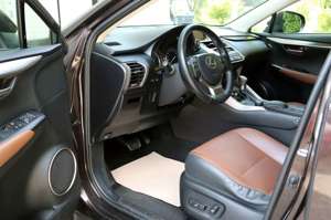 Lexus NX 300 NX300h Luxury Line/Leder/LED/Navi/AWD/20 Zoll/ Bild 5