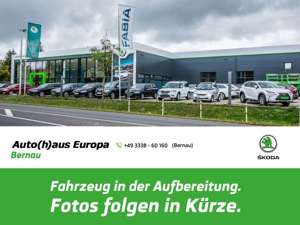Skoda Fabia 1.0 TSI 25 Best Drive Of ACC FLA Pano KAM