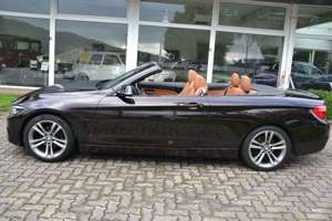 BMW 420 420i Cabrio Aut. Sport Line*Nackenwärmer*Leder Bild 5