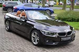 BMW 420 420i Cabrio Aut. Sport Line*Nackenwärmer*Leder Bild 2