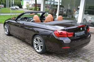 BMW 420 420i Cabrio Aut. Sport Line*Nackenwärmer*Leder Bild 3