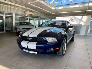Ford Mustang 4.0 V6 Coupe Shelby Clone Bild 1