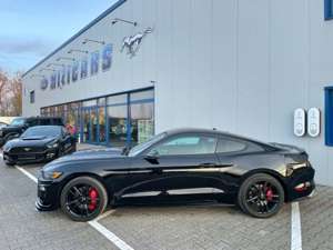 Ford Mustang 2017 Black on Black RECARO 5.0 Premium Navi EU Bild 2