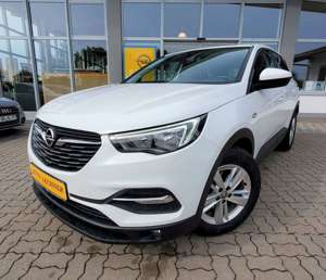 Opel Grandland X 1.5 D 96 KW*INTELLIL*AUTOM*PDC* Bild 1