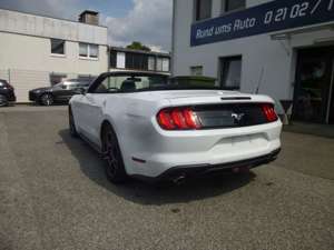 Ford Mustang 2.3 EcoBoost Cabrio Bild 5