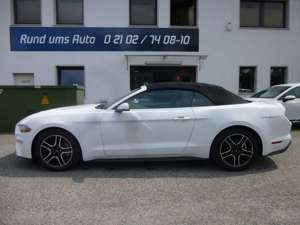 Ford Mustang 2.3 EcoBoost Cabrio Bild 4
