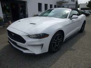 Ford Mustang 2.3 EcoBoost Cabrio Bild 3