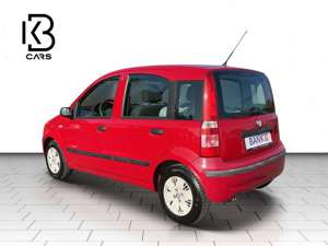 Fiat Panda 1.2 8V Dynamic Automatik Bild 3