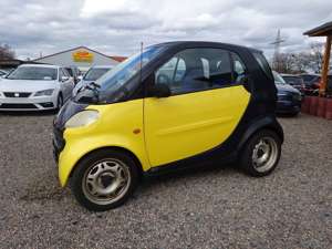 smart Others coupe Pure Bild 1